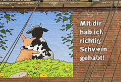 Tetsche Open Air in Stade (6 PiP)