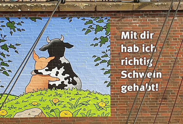 Tetsche Open Air in Stade (6 PiP)
