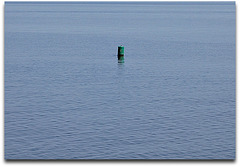 A Bouncing Buoy!