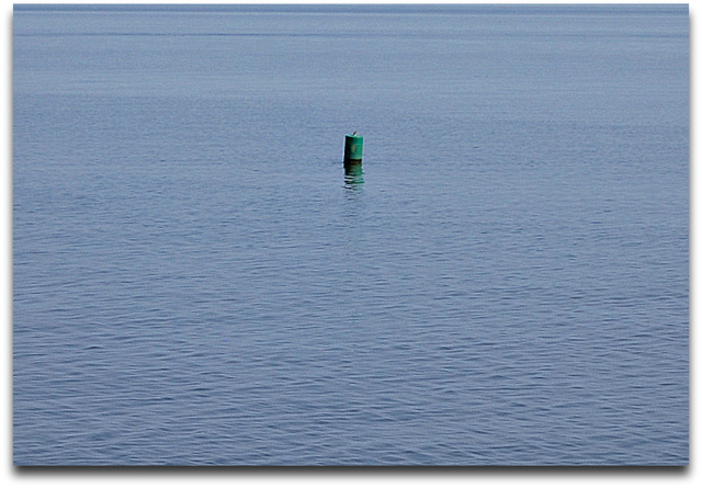 A Bouncing Buoy!