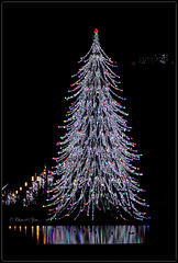 Christmas Tree in La Défense, Paris...