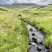 Moorland stream