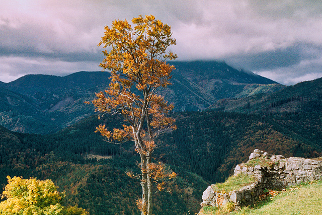 A view from the Liptov castle ruin A view from the Liptov castle ruin