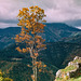 A view from the Liptov castle ruin