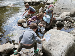 Fishing For Minnows Fishing For Minnows
