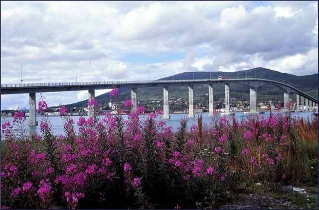 Sortlandbrücke