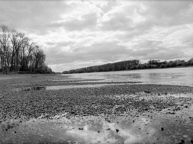 Am Rhein, Petersau