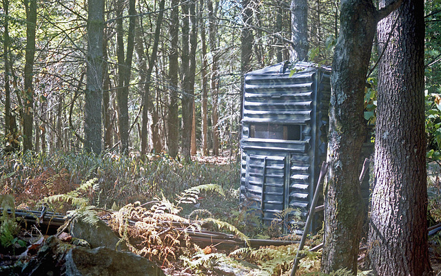 A Deer Hunter's Shelter