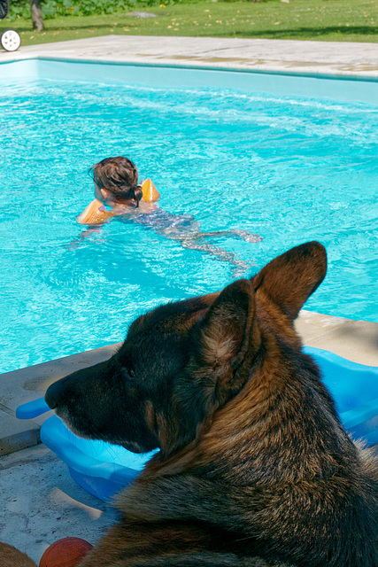 Surveillant de piscine