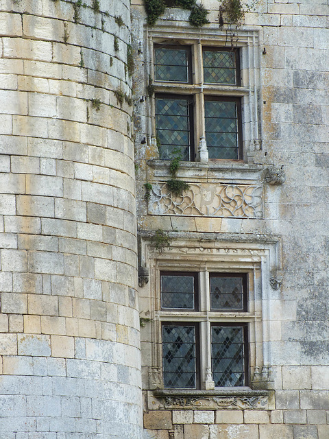 Fenêtres du château de Mareuil (24)