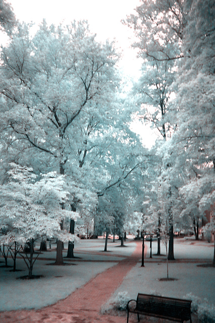 College Green, Athens, Ohio