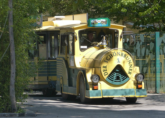 Schönbrunn Zoo (14) - 21 August 2017