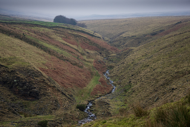 Blackshaw Clough