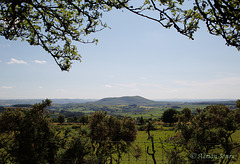 Corndon Hill View