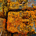 Brick Ballast from a dismantled boat