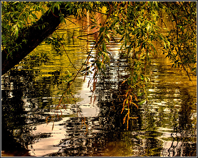 Watercolors XV Watercolors XV