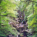 Lodore Falls (Scan from May 1991)