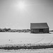 Sous le soleil de janvier