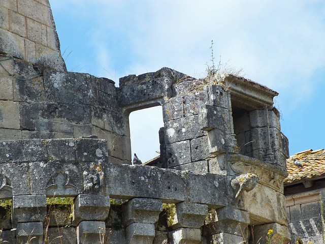 Château de Mareuil (24) en semi ruine