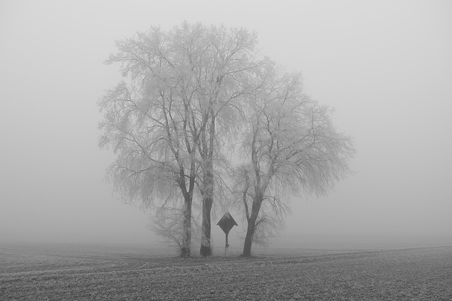 Das Kreuz mit dem Winter.