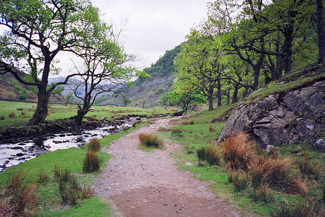 Watendlath Beck (Scan from May 1991)