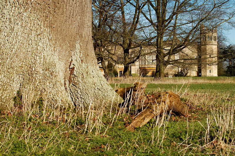 Sharington's Tower at Lacock Abbey