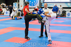 wchamp-9079 29489662594 o
