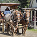 Barkerville, BC - Canada