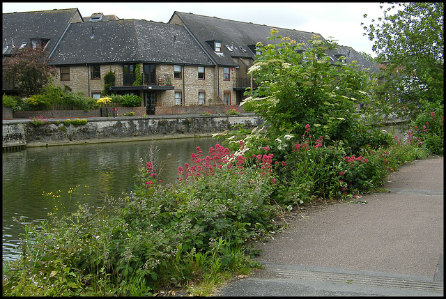 Thames Path at Grandpont