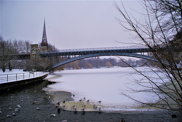 Blick zum Kuhmühlenteich