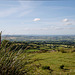 Stiperstones View