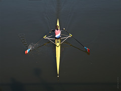 the lonely sculler I