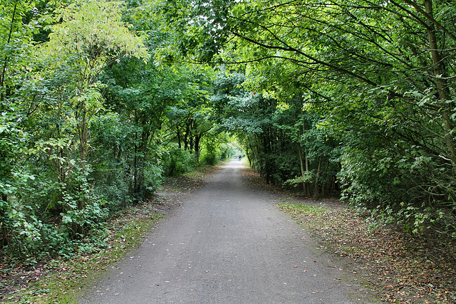 Weg zwischen den Seen (Duisburg-Rumeln-Kaldenhausen) / 22.09.2017