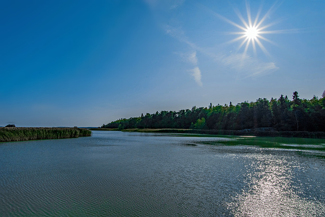 vor dem Hotel Ruissalo Spa (© Buelipix)