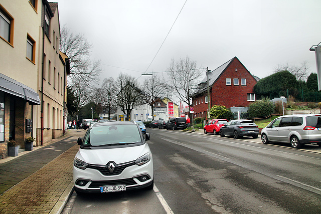 Höntroper Straße (Wattenscheid-Höntrop) / 17.02.2024