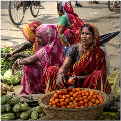 Tomato Seller