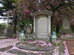 westminster cemetery, ealing, london