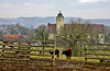 Die Hallburg, eine uralte Höhenburg - The Hallburg, an ancient mountain castle