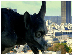 En hommage à ND de Paris