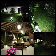 My garden's night