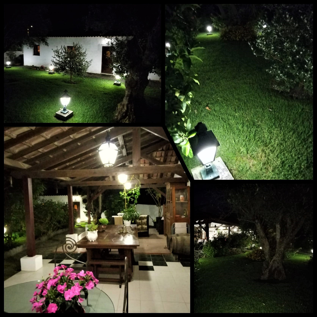 My garden's night