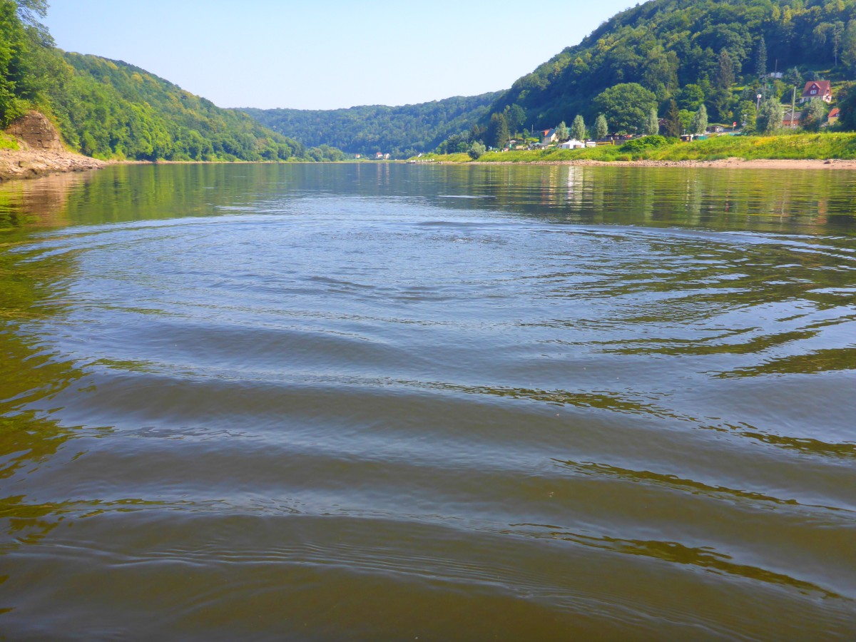 Sommertag an der Elbe