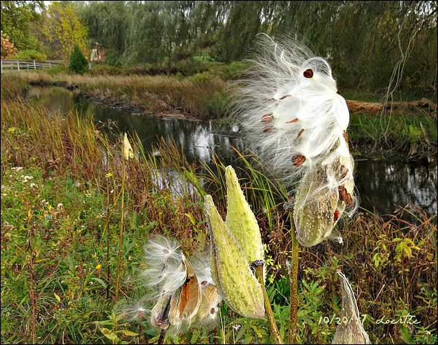 In a soft breeze