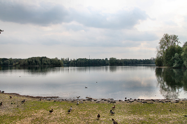 Am Ufer des Toeppersees (Duisburg-Rumeln-Kaldenhausen) / 22.09.2017