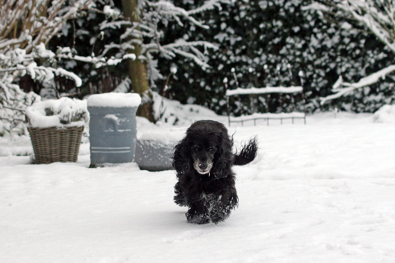 enjoying the snow