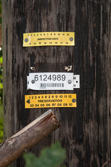 Utility Pole with Three Labels