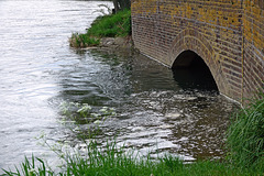 Flussmündung der Blau (Teil)