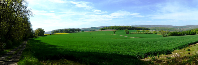 DE - Remagen - Auf der Apollinaris-Schleife