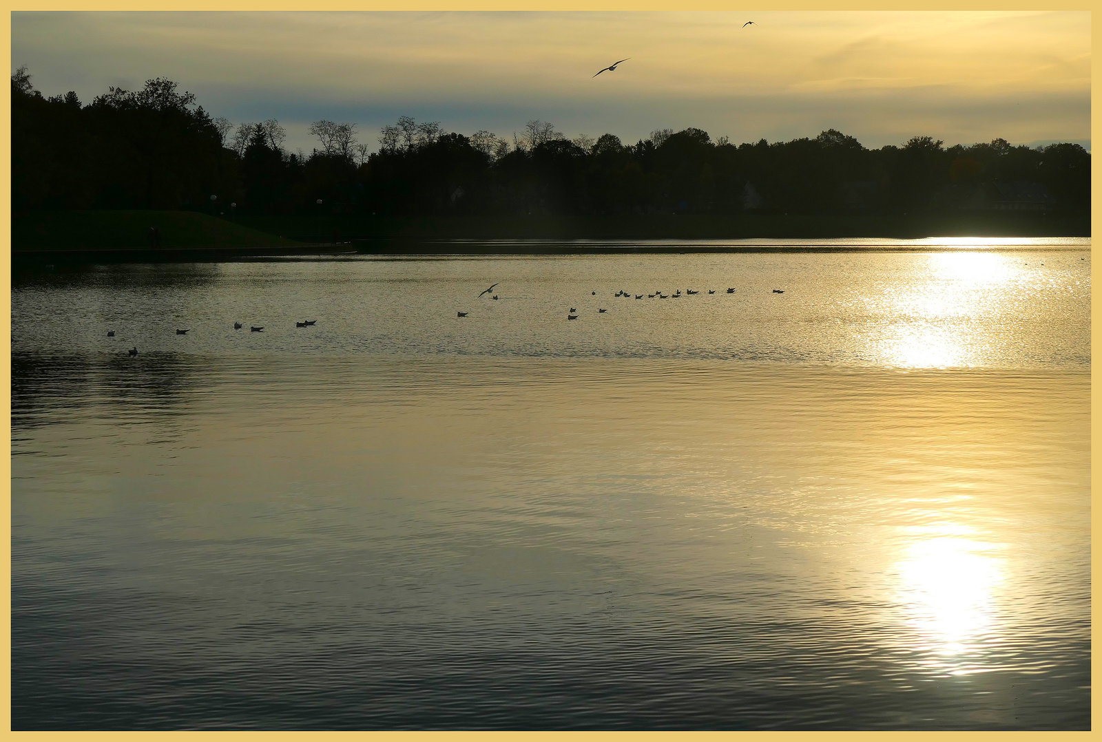 Novembre au lac