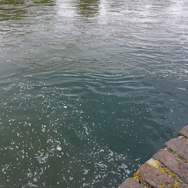 Wasser der Blau fließt in die Donau